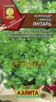 Кориандр Янтарь